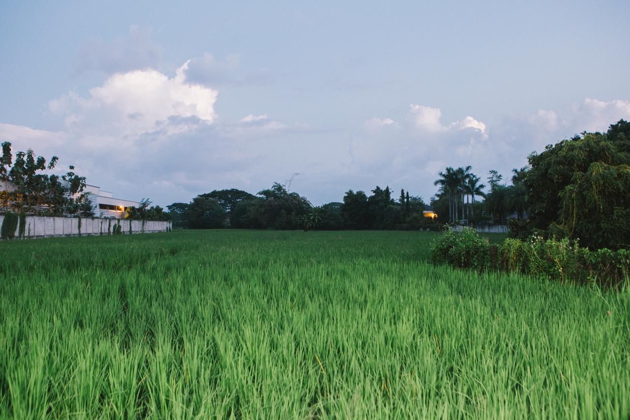 ฺbaan Tonglong Homestay Ханг-Донг Экстерьер фото